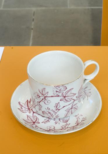 Cup and saucer with sugar cane and cotton flowers